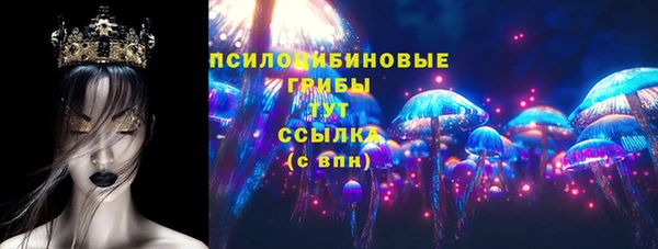 метадон Дмитриев