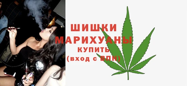 бошки Гусь-Хрустальный